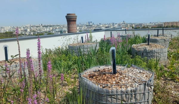 Le projet PhytoToiture veut accélérer le développement de la REUT des bâtiments
