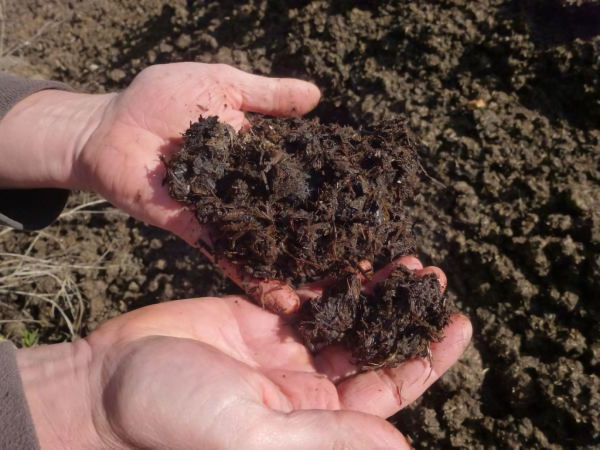 Utiliser des co-substrats quand les boues ne suffisent pas