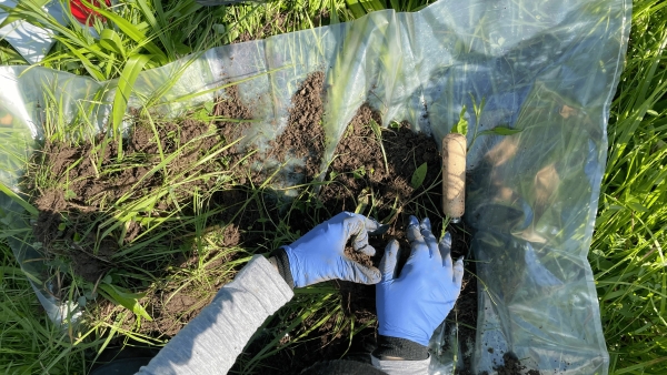 Le groupe Géotec crée le pôle Agropédologie