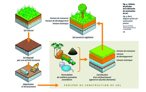 Réhabiliter des sites dégradés en restituant au sol ses propriétés agronomiques